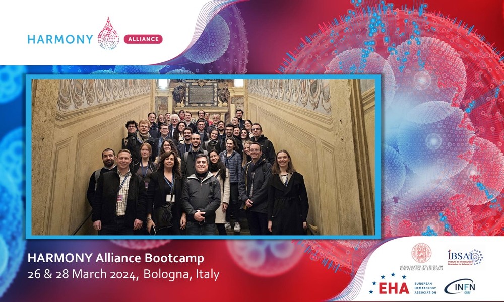 Lessons learned and inspriration gained during the HARMONY Alliance Bootcamp in Bologna