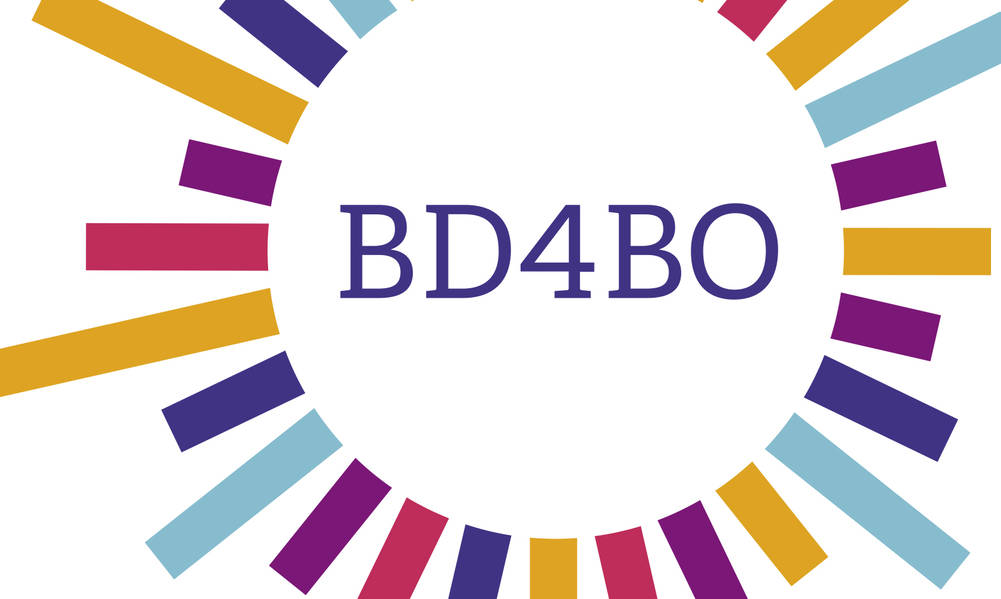 HARMONY present at the BD4BO General Assembly