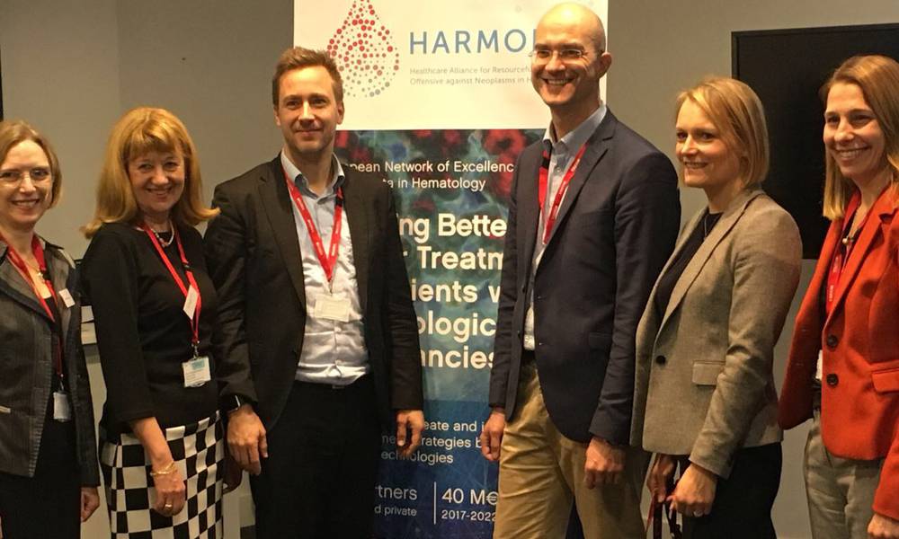 HARMONY Work Packages 2 & 6 Leadership in action in London, during Workshop: Meaningful Outcomes for HMs