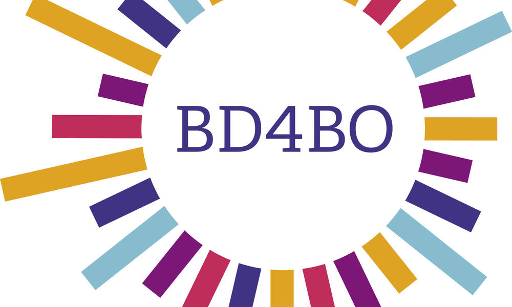 HARMONY Executive Committee Members will present at the first BD4BO Group Meeting in 2018