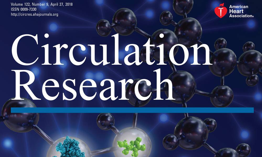 Read the article in Circulation Research: Omics, Big Data, and Precision Medicine in Cardiovascular Sciences