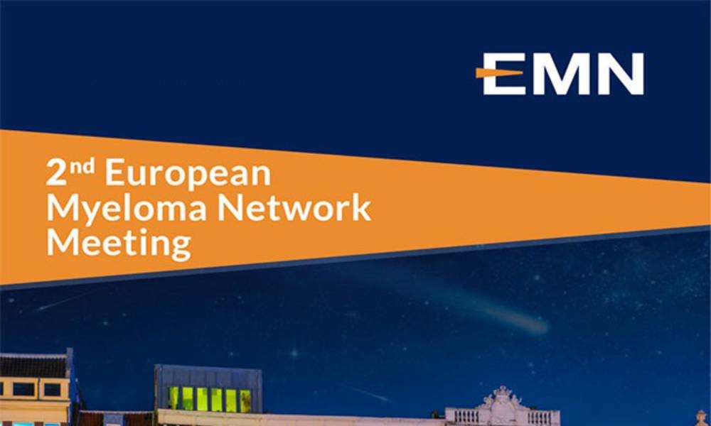 Joining forces to improve the treatment of myeloma: HARMONY participating in the second European Myeloma Network Meeting  