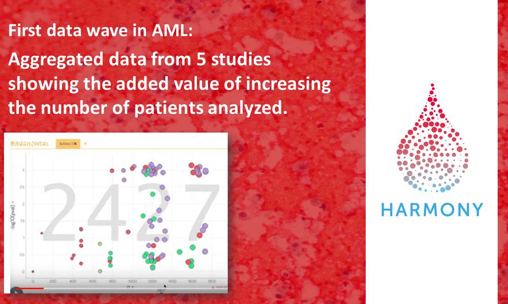 Unique video first data wave in AML: Aggregated data from 5 studies showing the added value of increasing the number of patients analyzed