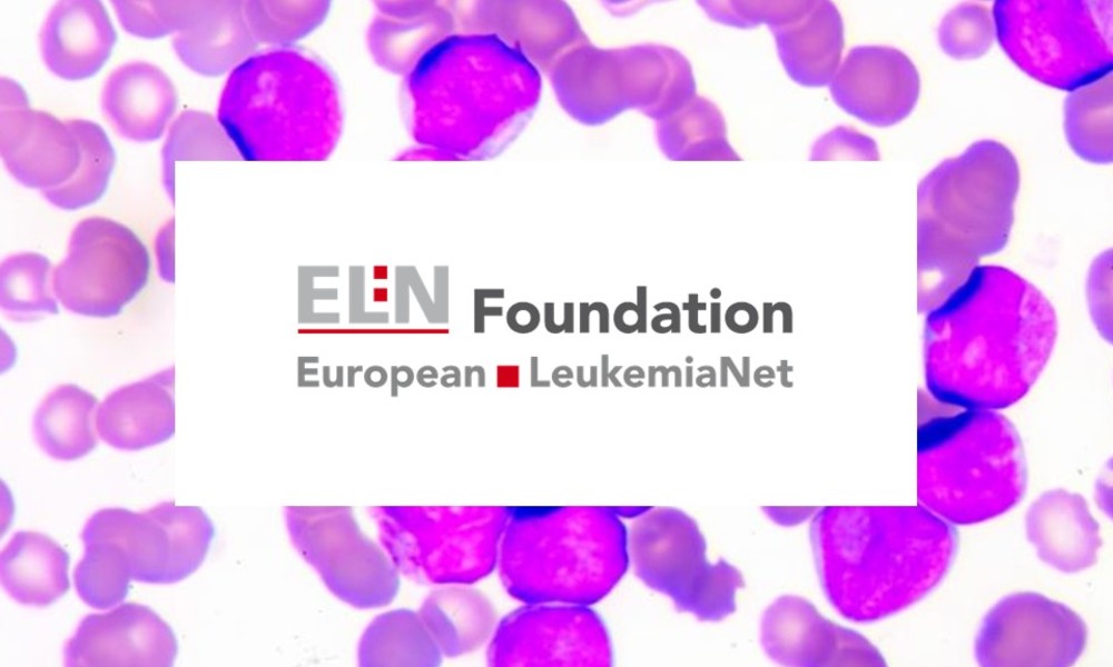 HARMONY Alliance sessions at the European LeukemiaNet Meeting