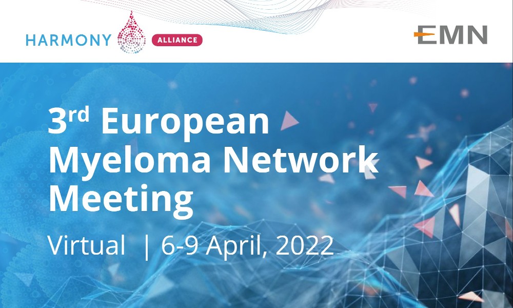 HARMONY Alliance participates in 3rd EMN meeting