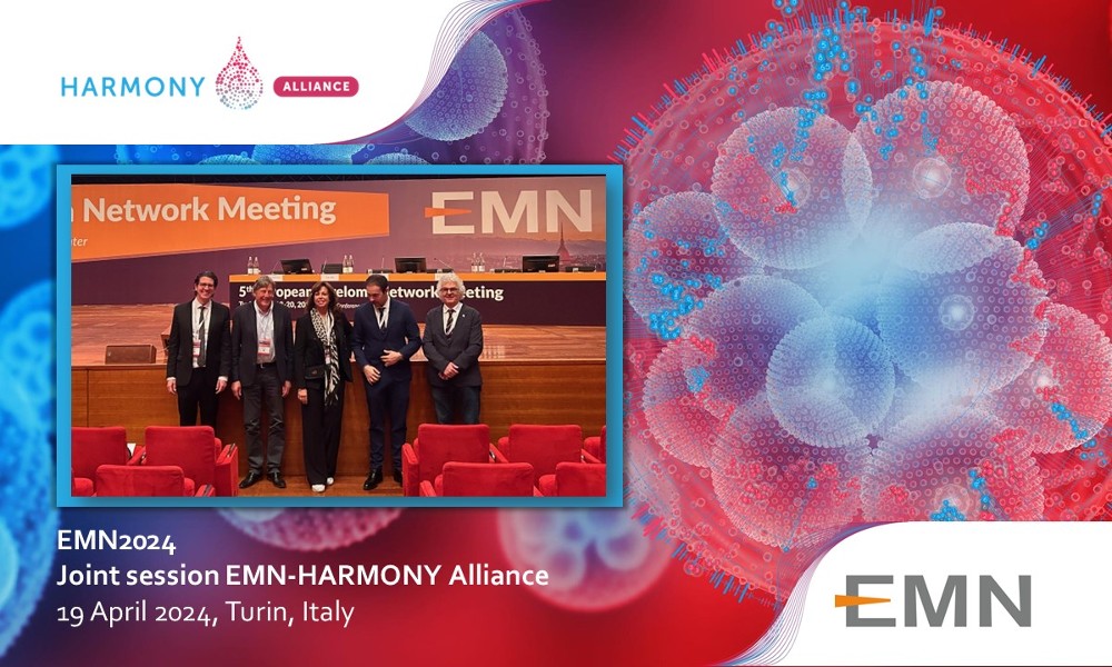 Presenting MM sub-projects in the EMN-HARMONY session