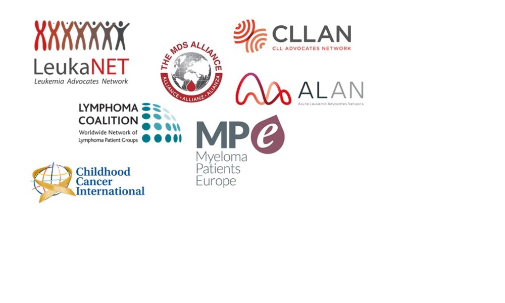 7 European Patient Organisations united in HARMONY Patient Cluster